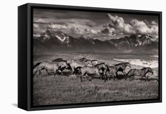 Mountain Range Mavericks-Lisa Dearing-Framed Stretched Canvas