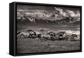 Mountain Range Mavericks-Lisa Dearing-Framed Stretched Canvas