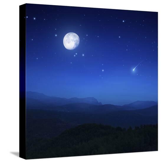 Stretched Canvas Print, , large