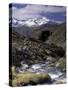 Mountain Range Panorama, Pontresina Region, Switzerland-Art Wolfe-Stretched Canvas