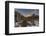 Mountain range with Cerro Torre and Fitz Roy, Los Glaciares National Park, Argentina-Ed Rhodes-Framed Photographic Print