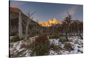 Mountain range with Cerro Torre and Fitz Roy, Los Glaciares National Park, Argentina-Ed Rhodes-Stretched Canvas