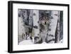 Mountain Ranger-Art Wolfe-Framed Giclee Print