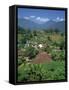 Mountain Resort of Puncak on Java, Indonesia, Southeast Asia-Renner Geoff-Framed Stretched Canvas