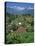 Mountain Resort of Puncak on Java, Indonesia, Southeast Asia-Renner Geoff-Stretched Canvas