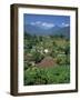 Mountain Resort of Puncak on Java, Indonesia, Southeast Asia-Renner Geoff-Framed Photographic Print