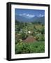 Mountain Resort of Puncak on Java, Indonesia, Southeast Asia-Renner Geoff-Framed Photographic Print