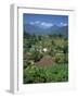 Mountain Resort of Puncak on Java, Indonesia, Southeast Asia-Renner Geoff-Framed Photographic Print