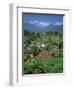 Mountain Resort of Puncak on Java, Indonesia, Southeast Asia-Renner Geoff-Framed Photographic Print