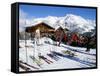 Mountain Restaurant Above Village of Solden in Tirol Alps, Tirol, Austria-Richard Nebesky-Framed Stretched Canvas