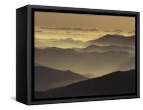 Mountain Ridges at Sunrise, Great Smoky Mountains National Park, Tennessee, USA-Adam Jones-Framed Stretched Canvas