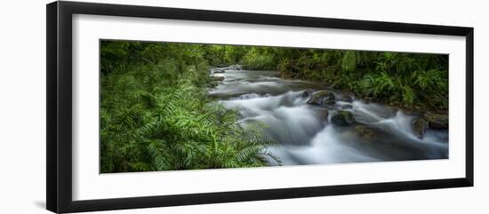 Mountain river. Forest interior. Bwindi Impenetrable Forest. Uganda-Roger De La Harpe-Framed Photographic Print