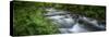 Mountain river. Forest interior. Bwindi Impenetrable Forest. Uganda-Roger De La Harpe-Stretched Canvas