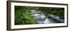 Mountain river. Forest interior. Bwindi Impenetrable Forest. Uganda-Roger De La Harpe-Framed Premium Photographic Print