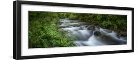 Mountain river. Forest interior. Bwindi Impenetrable Forest. Uganda-Roger De La Harpe-Framed Premium Photographic Print