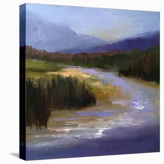 Mountain River II-Sheila Finch-Stretched Canvas