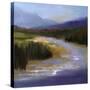Mountain River II-Sheila Finch-Stretched Canvas