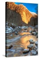 Mountain River in the Alps-null-Stretched Canvas