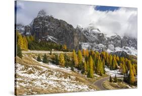 Mountain Road Leading Up to Grodner Joch, Passo Gardena from Groeden Valley, Val Badia in Dolomites-Martin Zwick-Stretched Canvas