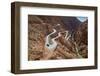 Mountain Road-F.C.G.-Framed Photographic Print