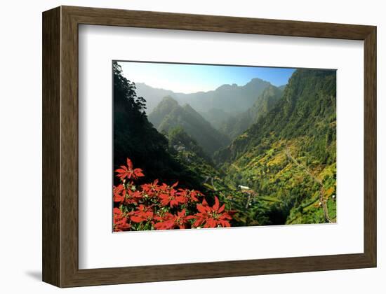 Mountain scenery and the village of Cruzinhas, Madeira Island, Portugal-null-Framed Art Print