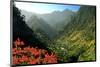 Mountain scenery and the village of Cruzinhas, Madeira Island, Portugal-null-Mounted Art Print