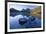 Mountain Scenery Dove Lake in Front of Massive-null-Framed Photographic Print