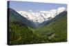 Mountain Scenery of Svanetia, Georgia-Michael Runkel-Stretched Canvas