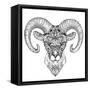 Mountain Sheep, Argali, Black and White Ink Drawing-Vensk-Framed Stretched Canvas