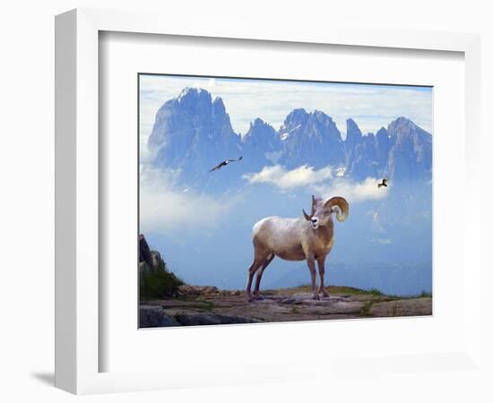 Mountain Sheep-Ata Alishahi-Framed Giclee Print