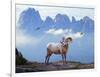 Mountain Sheep-Ata Alishahi-Framed Giclee Print