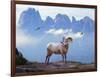 Mountain Sheep-Ata Alishahi-Framed Giclee Print