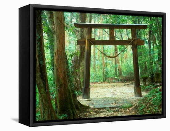 Mountain Shrine, Yakushima, Kagoshima, Japan-Rob Tilley-Framed Stretched Canvas