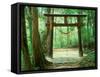 Mountain Shrine, Yakushima, Kagoshima, Japan-Rob Tilley-Framed Stretched Canvas