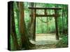 Mountain Shrine, Yakushima, Kagoshima, Japan-Rob Tilley-Stretched Canvas