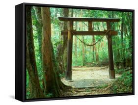 Mountain Shrine, Yakushima, Kagoshima, Japan-Rob Tilley-Framed Stretched Canvas