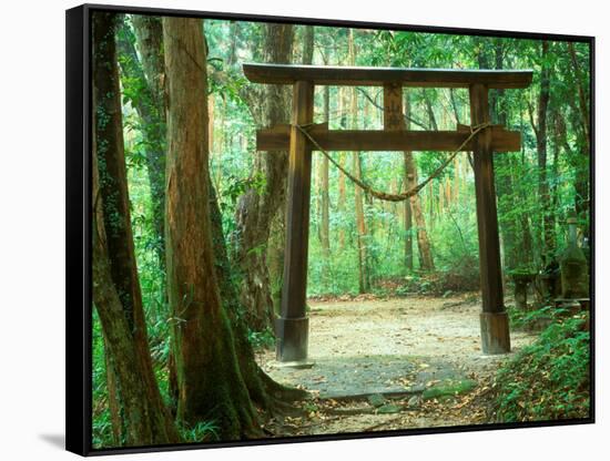 Mountain Shrine, Yakushima, Kagoshima, Japan-Rob Tilley-Framed Stretched Canvas