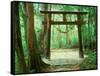 Mountain Shrine, Yakushima, Kagoshima, Japan-Rob Tilley-Framed Stretched Canvas