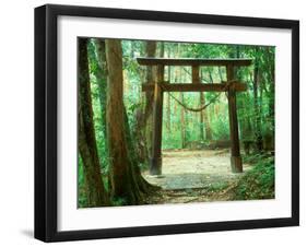 Mountain Shrine, Yakushima, Kagoshima, Japan-Rob Tilley-Framed Premium Photographic Print