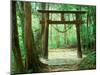 Mountain Shrine, Yakushima, Kagoshima, Japan-Rob Tilley-Mounted Premium Photographic Print