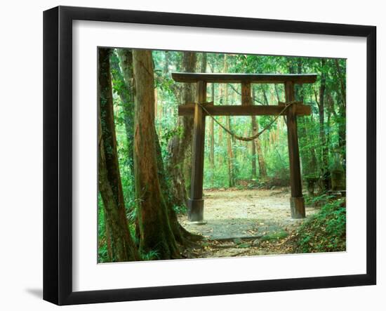 Mountain Shrine, Yakushima, Kagoshima, Japan-Rob Tilley-Framed Photographic Print