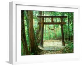 Mountain Shrine, Yakushima, Kagoshima, Japan-Rob Tilley-Framed Photographic Print