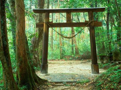 https://imgc.allpostersimages.com/img/posters/mountain-shrine-yakushima-kagoshima-japan_u-L-P3VK9Z0.jpg?artPerspective=n