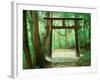 Mountain Shrine, Yakushima, Kagoshima, Japan-Rob Tilley-Framed Photographic Print
