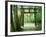 Mountain Shrine, Yakushima, Kagoshima, Japan-Rob Tilley-Framed Photographic Print