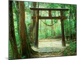 Mountain Shrine, Yakushima, Kagoshima, Japan-Rob Tilley-Mounted Photographic Print