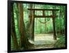 Mountain Shrine, Yakushima, Kagoshima, Japan-Rob Tilley-Framed Photographic Print