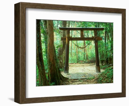 Mountain Shrine, Yakushima, Kagoshima, Japan-Rob Tilley-Framed Photographic Print