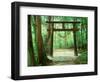 Mountain Shrine, Yakushima, Kagoshima, Japan-Rob Tilley-Framed Photographic Print