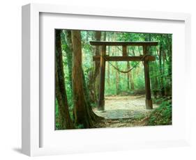 Mountain Shrine, Yakushima, Kagoshima, Japan-Rob Tilley-Framed Photographic Print